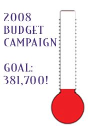 2008-budget-campaign-for-we.gif